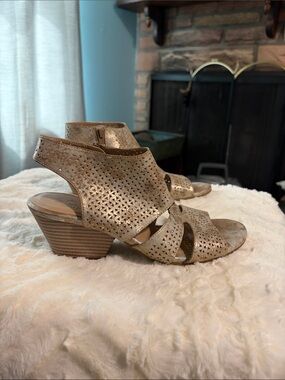 Soul Naturalizer Dez Wedge Sandals.